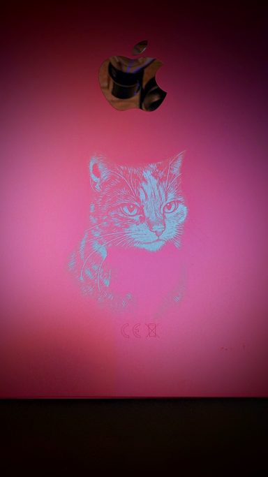 Portrait einer Katze auf iPad