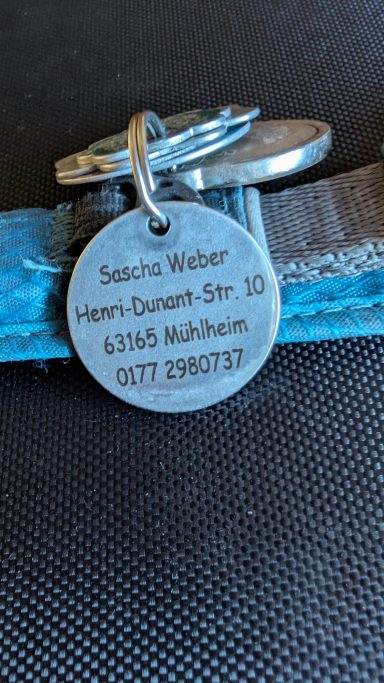 Infrarotlaser auf Hundemarke