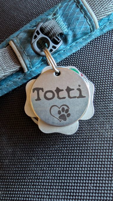 Infrarotlaser auf Hundemarke