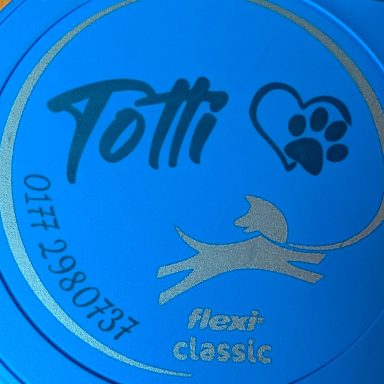 UV-Laser auf Hundeleine